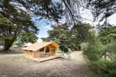 Tente Toile&Bois Classic V