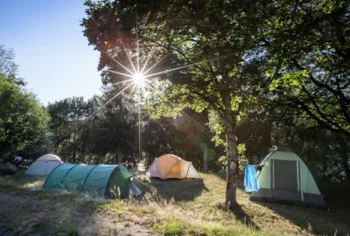 Stellplatz - Stellplatz : Zelt + Strom (Kein Auto Zugang) - Huttopia Lac de Rillé