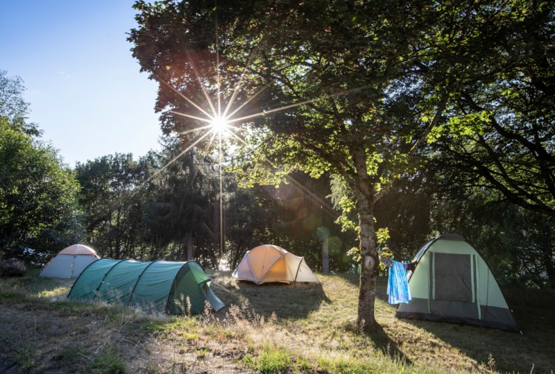 Emplacement : tente + électricité (pas d'accès voiture)