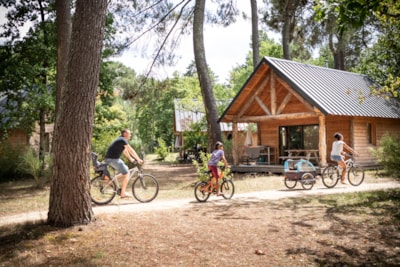Forest Wood Cabin