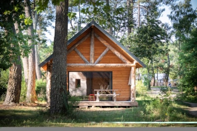 Forest Wood Cabin