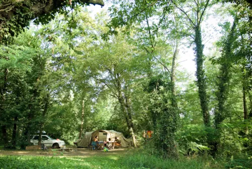 Stellplatz - Campingstellplatz - image n°3 - Camping de Lyon