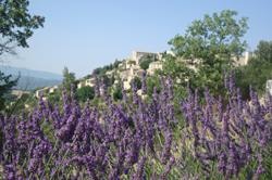 Camping Koawa Forcalquier Les Routes de Provence - image n°55 - 