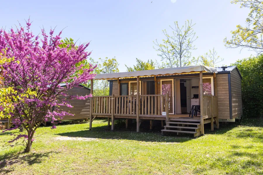 Location - Mobil Home Ciela Privilège - 2 Chambres - Camping Les Routes de Provence