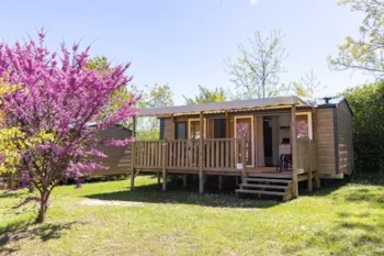 Mietunterkunft - Mobilheim Confort – 3 Schlafzimmer - Camping Les Routes de Provence