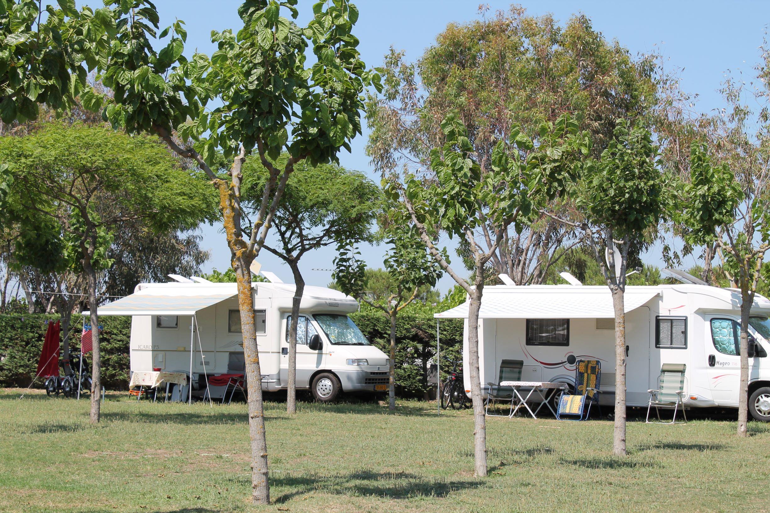 Emplacement - Emplacement : Voiture + Tente Ou Caravane + Électricité - Camping Del Mar