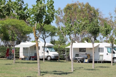 Pitch : car + tent or caravan + electricity — 1