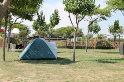 Pitch : car + tent or caravan + electricity — 2