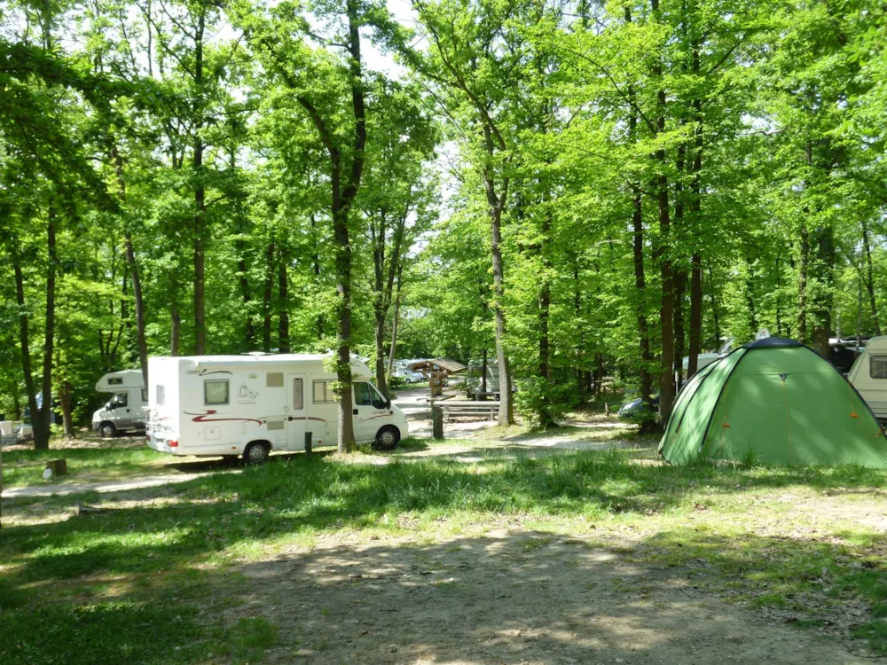 Huttopia Versailles - image n°7 - Camping Direct