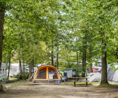 Comfort Camping pitch