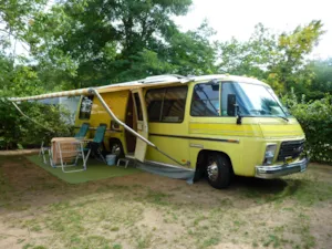 Emplacement - PITCH (electricity /1 Car) - Base de Loisirs - Camping du Lac Cormoranche