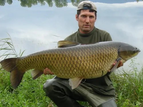 Emplacement - Forfait Pêcheur Ou Accompagnant + Véhicule - image n°8 - Base de Loisirs - Camping du Lac Cormoranche