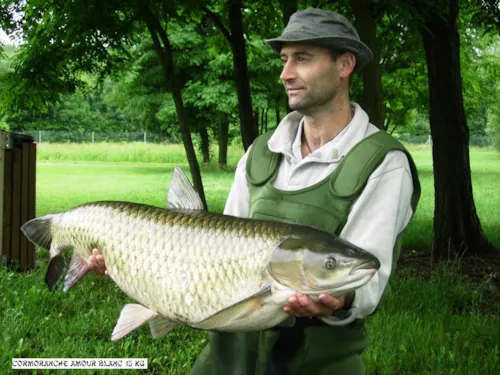 Emplacement - Forfait Pêcheur Ou Accompagnant + Véhicule - image n°5 - Base de Loisirs - Camping du Lac Cormoranche