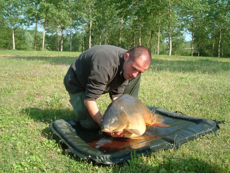 Forfait Pêcheur Ou Accompagnant + Véhicule