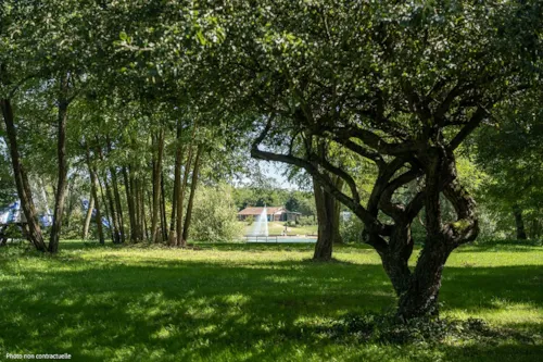 Accommodation - Bivouac Tent Pitched - image n°7 - Base de Loisirs - Camping du Lac Cormoranche