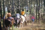 Foto #26 van Domaine résidentiel naturiste La Jenny