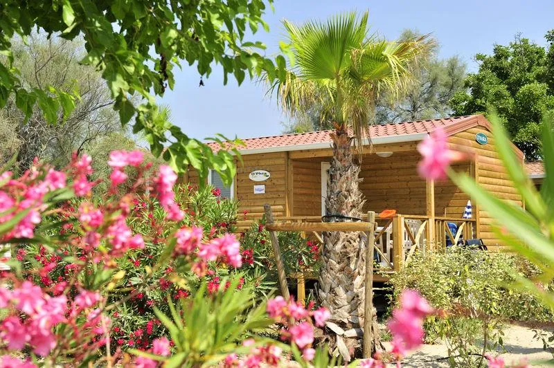 Capfun - Le Boucanet