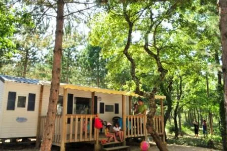 Huuraccommodatie(s) - Stacaravan Sunshine - image n°1 - Capfun - Domaine d'Imbours