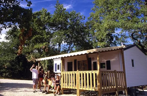 Accommodation - Mobile Home Sunshine Top Presta - image n°1 - Capfun - Domaine d'Imbours