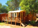 Sunshine Top Presta 26M² Sunshine Top Presta 26M²