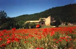 SAS Camping de Valsaintes - image n°35 - UniversalBooking