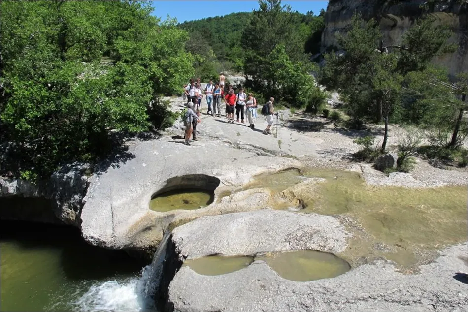 SAS Camping de Valsaintes