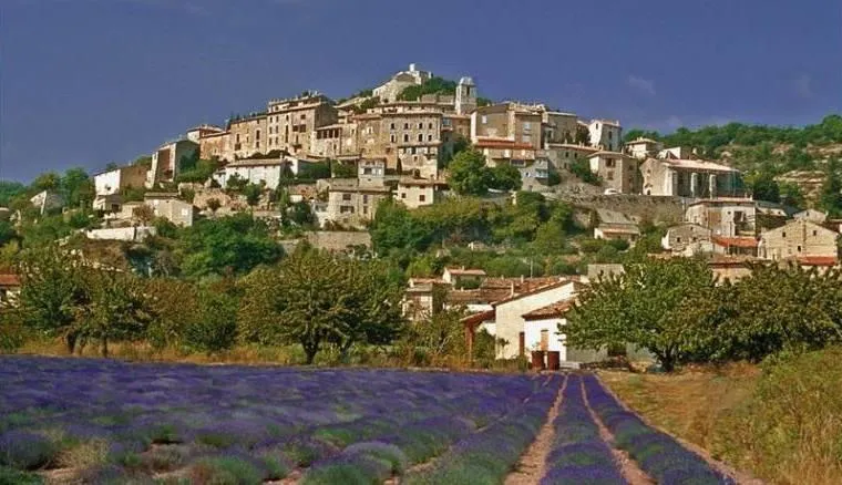 SAS Camping de Valsaintes