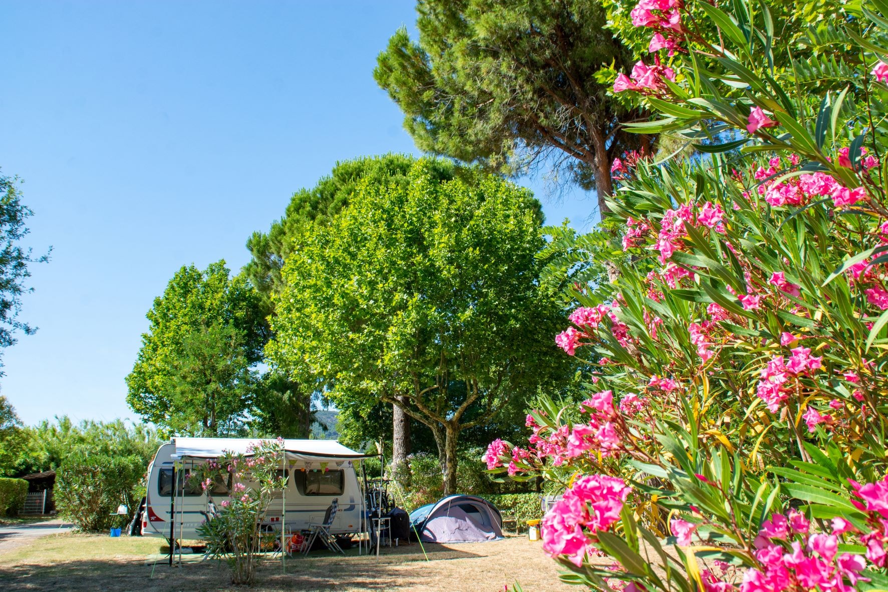 Village Camping Les Pêcheurs — Photo 7