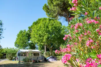 Stellplatz - Stellplatz : Auto + Zelt Oder Wohnwagen + Strom 10A - Village Camping Les Pêcheurs