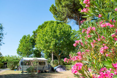 Pitch: car + tent or caravan or motorhome + 10A electricity