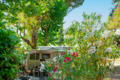 Pitch: car + tent or caravan or motorhome + 10A electricity