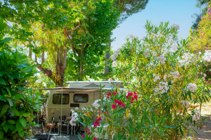 Emplacement : Voiture + Tente Ou Caravane + Électricité 10A