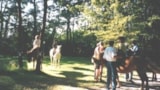 Foto #27 van Centre Naturiste Le Fiscalou