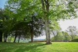 Foto #44 van Camping Les Coteaux du Lac