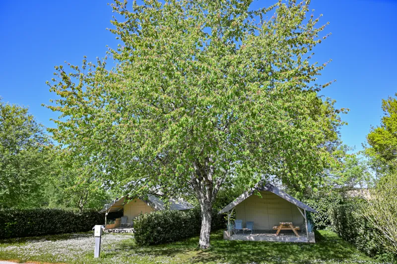 Wood Lodge 23M2 - 2Ch Terrasse Couverte