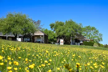 Mietunterkunft - Chalet Le Parc Des Coteaux 35M² (2 Zimmer) 800M Du Camping - Camping Les Coteaux du Lac