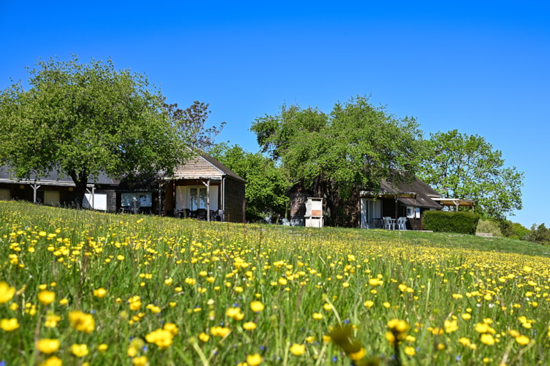 Chalet Le Parc des Coteaux 35m² (2 kamers) 800m du camping