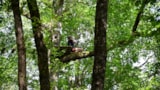 Foto #30 van Camping Les Coteaux du Lac