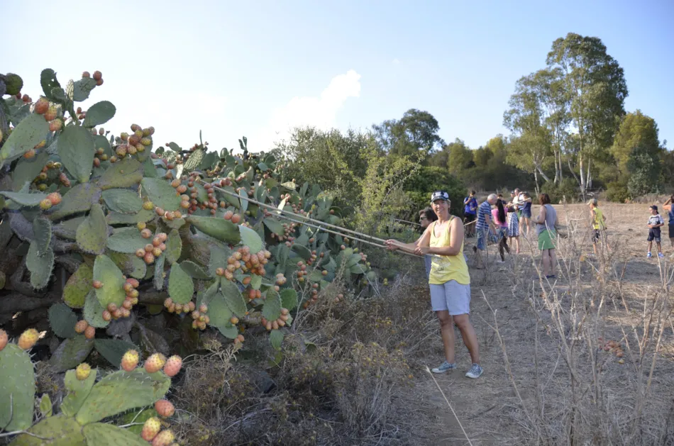 Villaggio Camping Capo Ferrato - Costa Rei