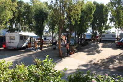 Pitch for Motor home / Caravan / Large Tent — 2