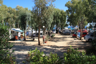 Pitch Small tent — 2