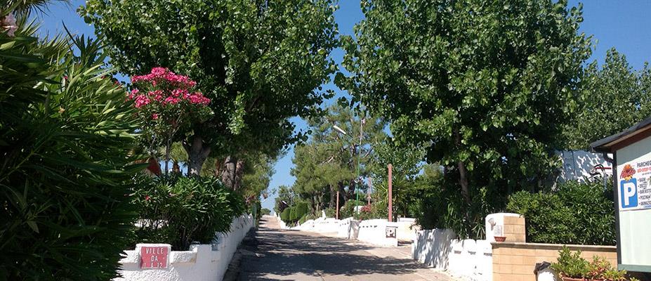 Residence Camping Atlantide - Puglia - Immagine n°4 Residence Camping Atlantide - Puglia - Immagine n°4
