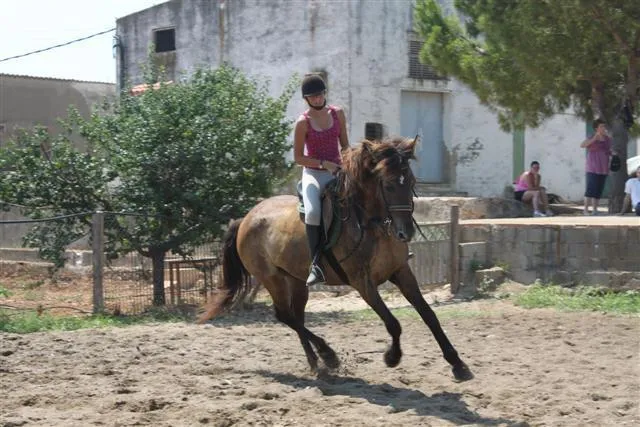 Camping Caravaning Playa Tropicana