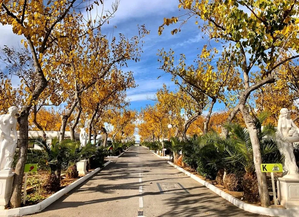 Camping Caravaning Playa Tropicana