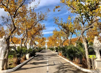 Stellplatz - Stellplatz + Caravan + Tent + Auto (S Grün) - Camping Caravaning Playa Tropicana