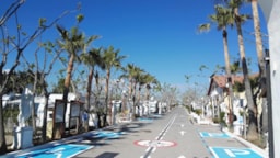 Kampeerplaats(en) - Standplaats + Tent, Caravan + Auto (M Geel) - Camping Caravaning Playa Tropicana