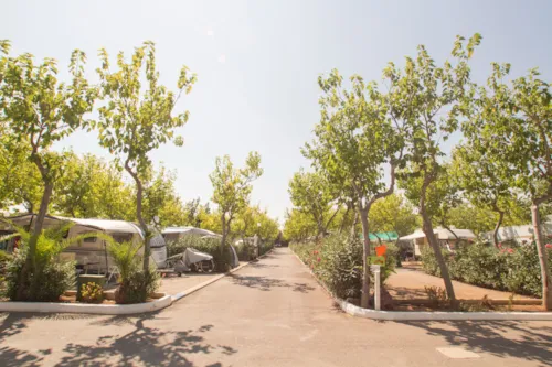 Camping Caravaning Playa Tropicana - Valencian Community Camping Caravaning Playa Tropicana - Valencian Community