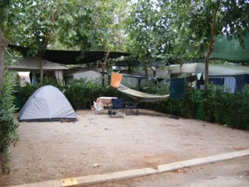 Stellplatz - Stellplatz Zelt + Wohnwagen + Auto (M Gelb) - Camping Caravaning Playa Tropicana