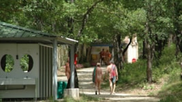 Emplacement Bord de lac tente, caravane ou camping car