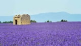 Foto #34 van Camping Naturiste Tikayan Petit Arlane